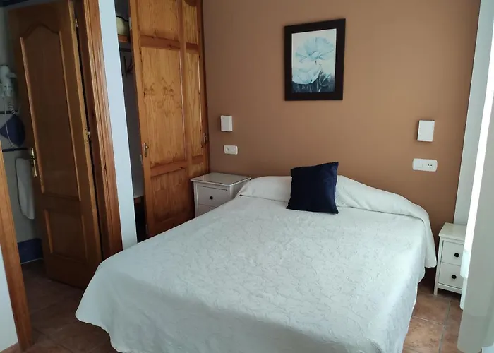 Ana - Adults Recommended